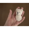 Ivory Mini Knitted Bear Photo Toy