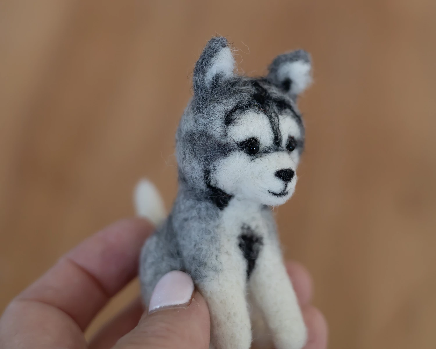 Nemez husky kölyök kutyus - fehér-szürke
