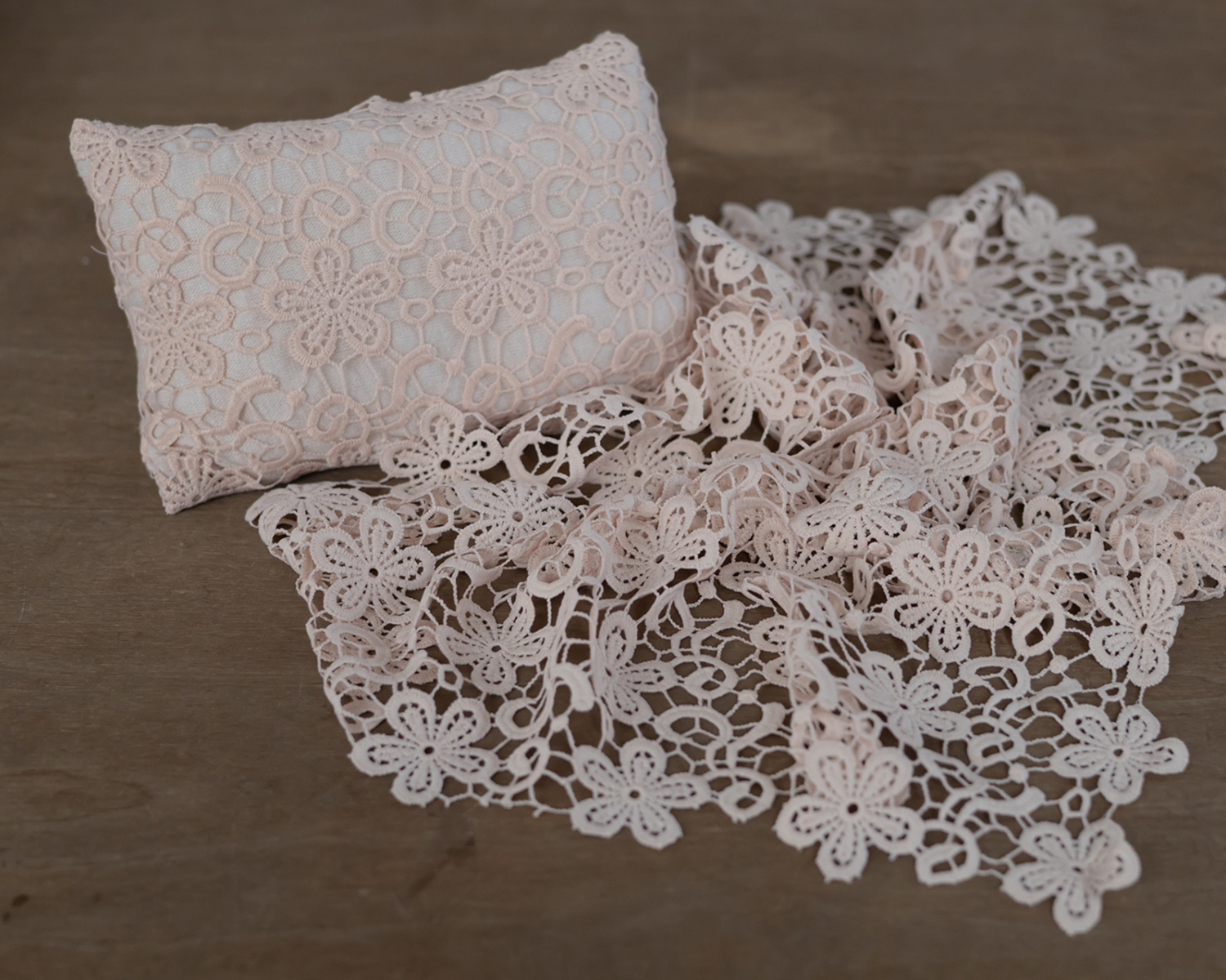 Nude Vintage Set: Lace Pillow and Layer