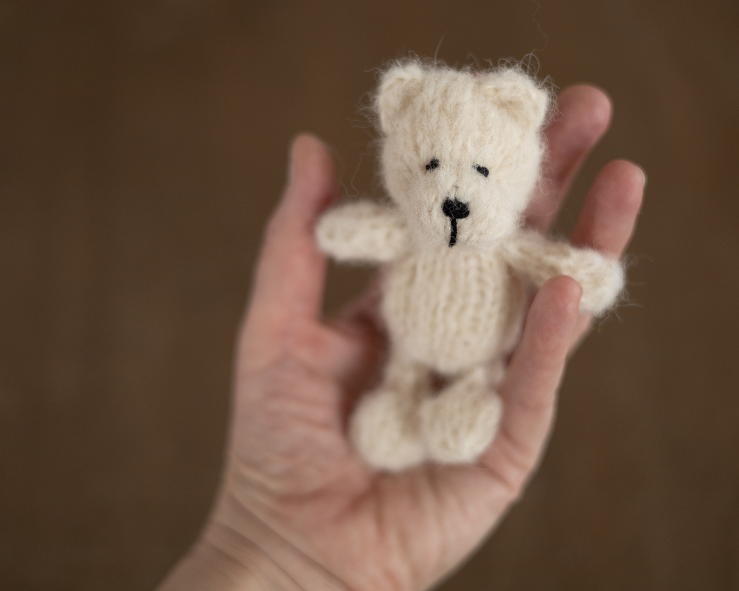 Ivory Mini Knitted Bear Photo Toy