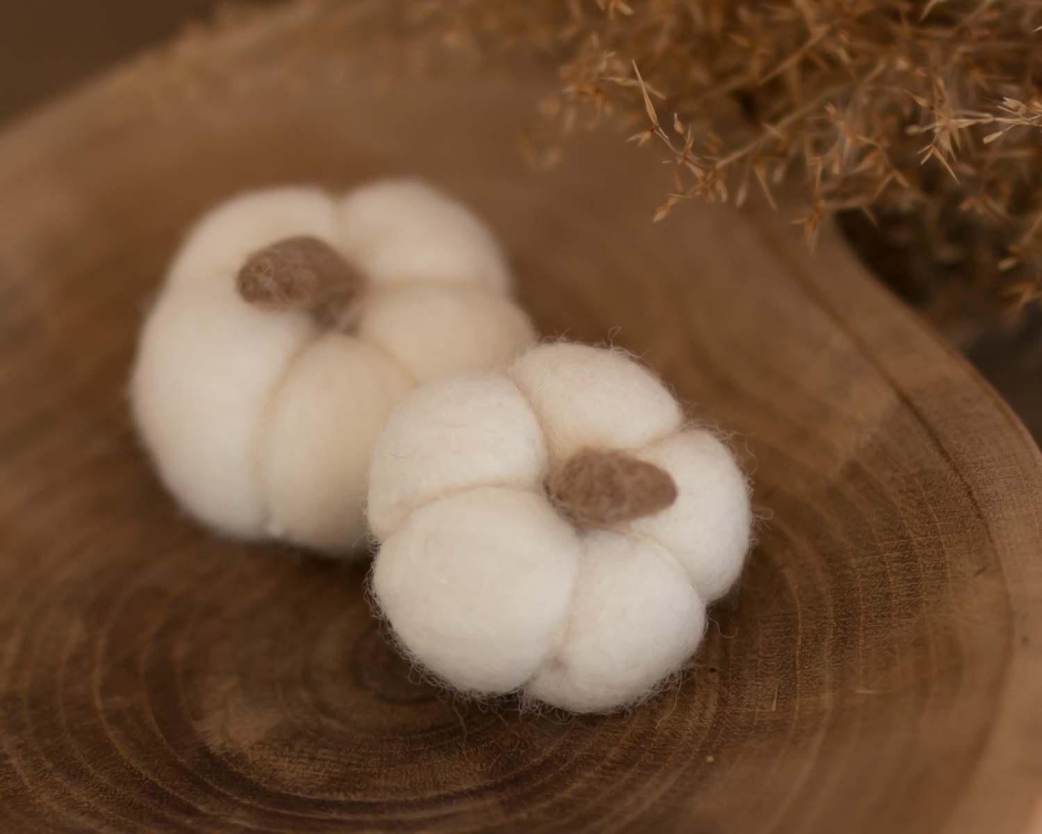 Ivory Felted Pumpkin Photo Toy