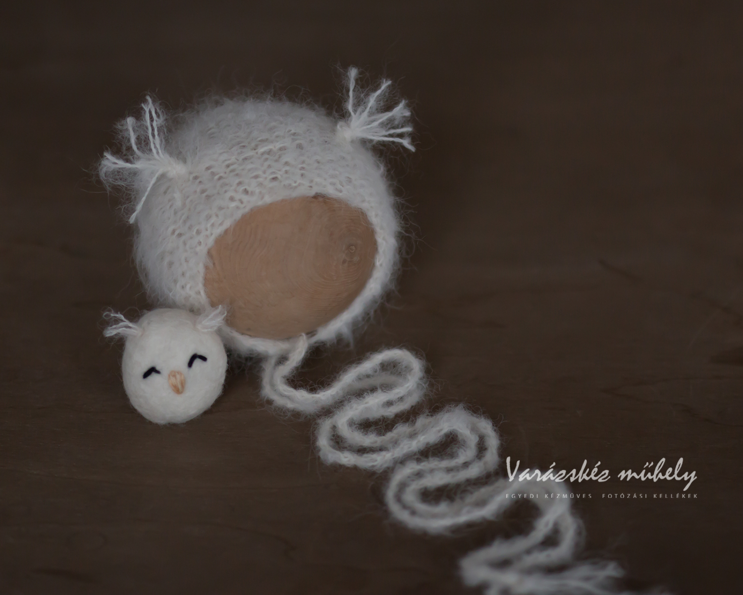 PRE-ORDER - Owl Hat and Felted Photo Toy Set