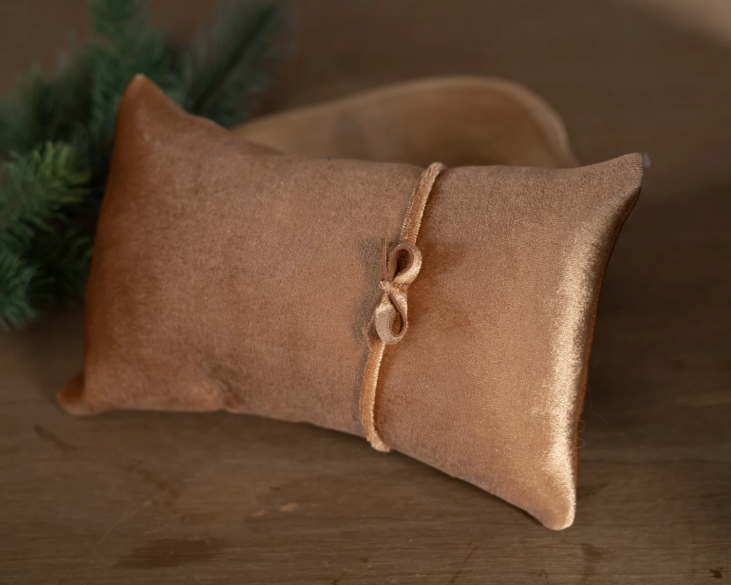 Gold posing pillow - newborn photo prop