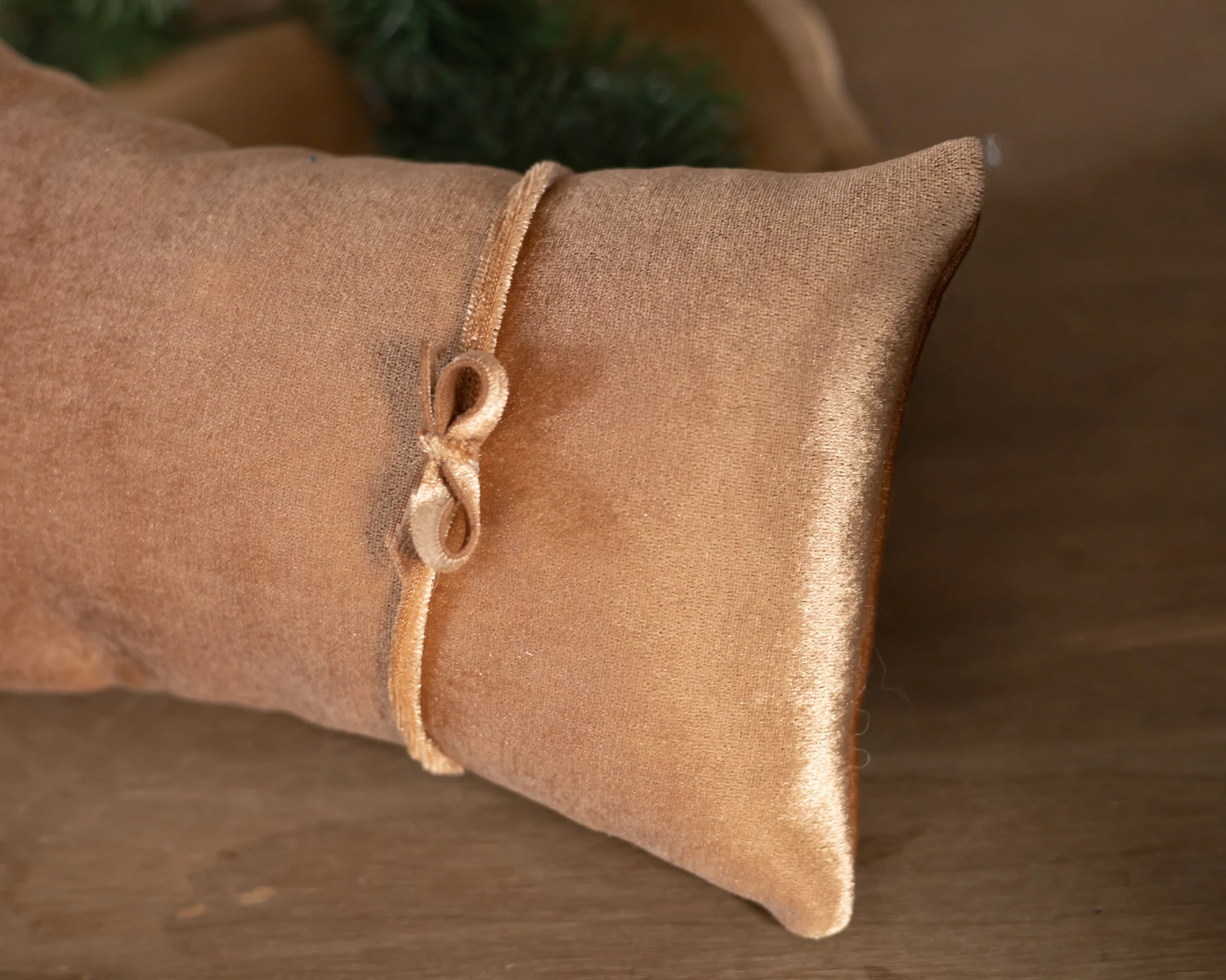 Gold posing pillow - newborn photo prop