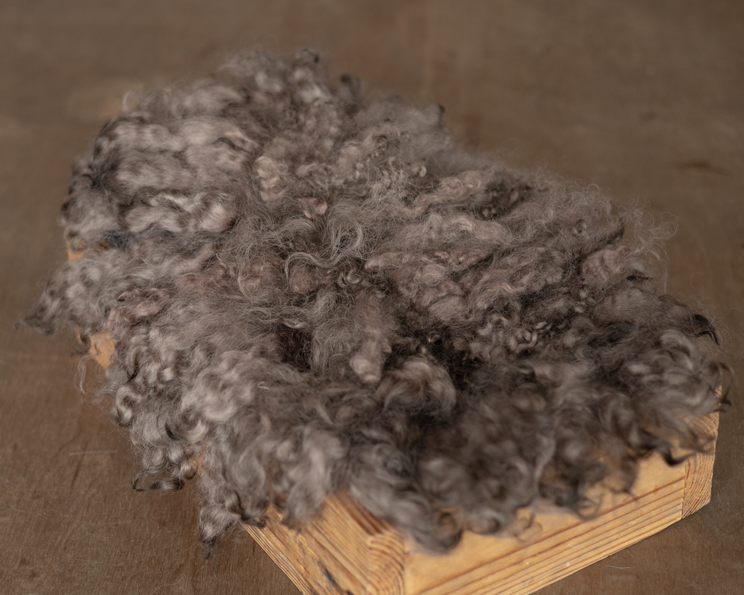 Brown Felted Curly Fur