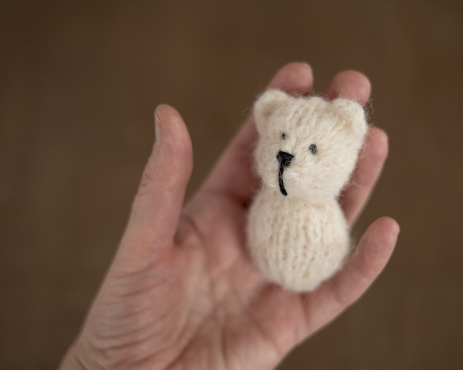 Ivory Mini Knitted Bear Photo Toy