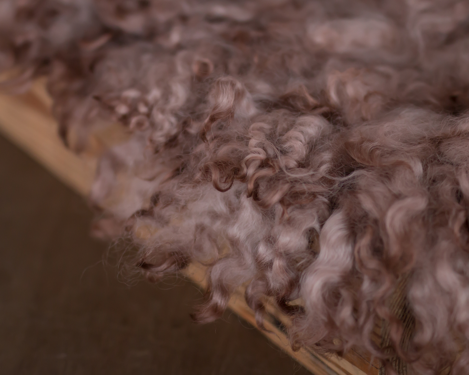 Beige-Blush Curly Fur / Layer 