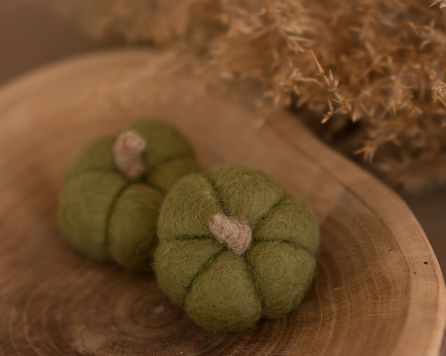 Olive Green Felted Pumpkin / Photo Toy