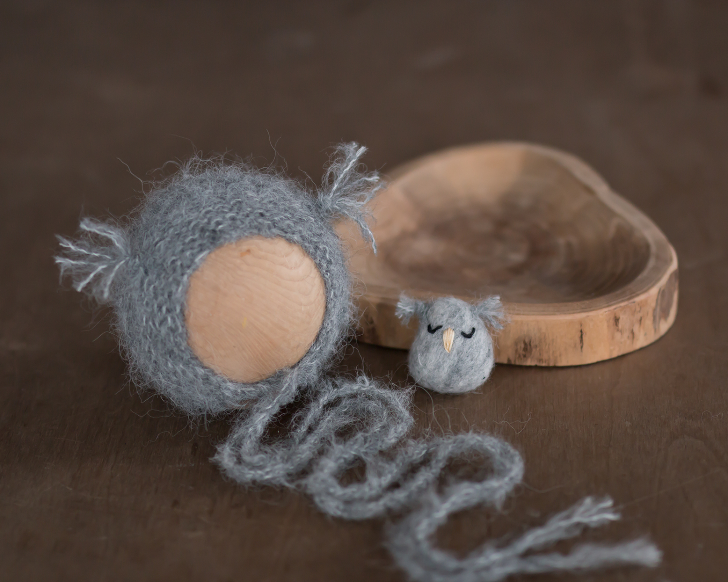 PRE-ORDER - Owl Hat and Felted Photo Toy Set